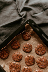 Tasty chocolate brownie cookies on paper