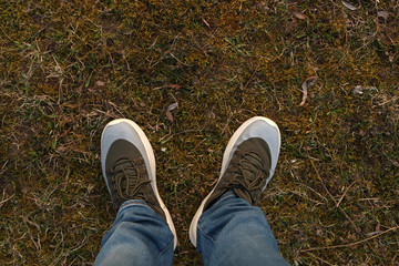Men's sneakers on the grass. Legs in sneakers on the grass.