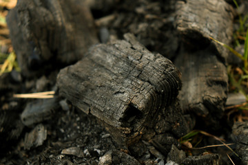 Coal. Coal texture. Background of coal.