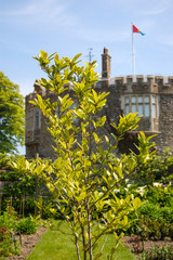  A garden waiting for visitors