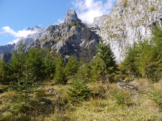 Im Wimbachtal