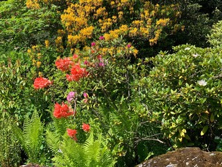 Fototapete bei efototapeten.de bestellen   