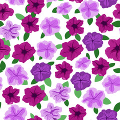Seamless pattern of bard and lilac petunias on a white background