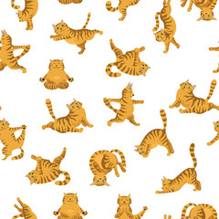Cats yoga seamless pattern. Different yoga poses and exercises. Striped and tabby cat colors