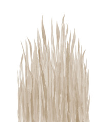 Dried grass. Beige plant leaves. Watercolour pastel stem. Botanical illustration on white background.