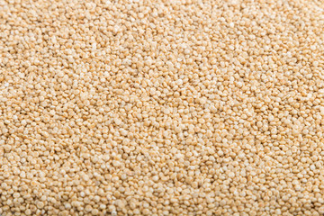 Texture of raw white quinoa. Side view, close up.
