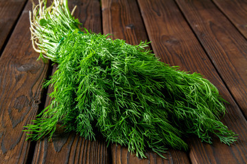 A Bunch of fresh dill on a dark wooden background