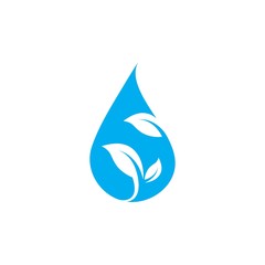 water drop leaf concept  Logo Template vector illustration