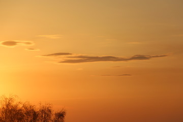 Fototapeta na wymiar sunset, dawn, sky, yellow sky