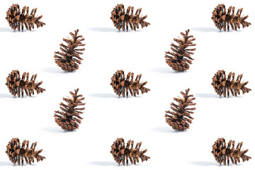 Pine cones on a white background.