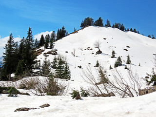 The early spring atmosphere with the last remnants of winter and snow in the Seeztal subalpine...