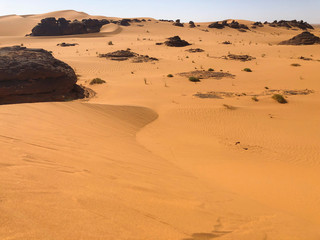 sahara landscape