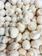 lots of white mushrooms for cooking background