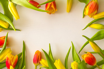 Tulips, leaves and buds.