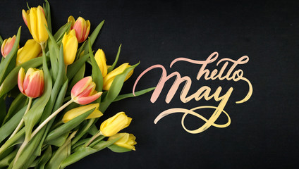 Bright fresh yellow spring flowers tulips on a black background.