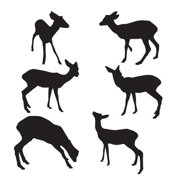 Set of wild animals. Silhouette of beautiful stylized cartoon deer on white background. Vector illustration.