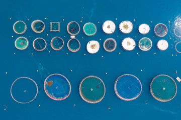 Fototapeta premium Sea fish farm. Aerial view of fish farm Greece, view from above