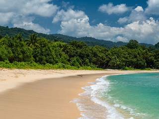 Tropical beach in Vanimo city, surf spot, surf beach, full of palmtrees and jungle, West Sepik, Papua New Guinea