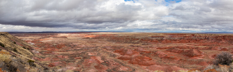 Petrified Forest in National Park in Arizona