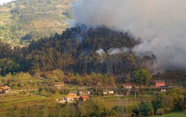 Fototapeta na wymiar Wild fire in North Portugal