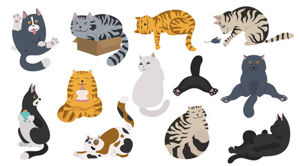 Cartoon cat characters collection. Different cat`s poses, yoga and emotions set. Flat color simple style design