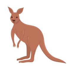 Kangaroo isolated on a white background. Vector graphics.