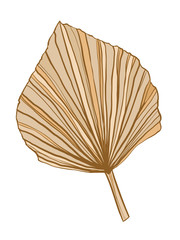 Boho decor leaf on the white isolated background. Clip art illustration.