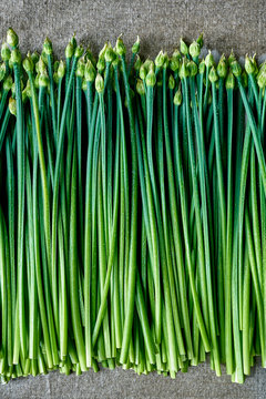 fresh stems of garlic chives with dew on linen