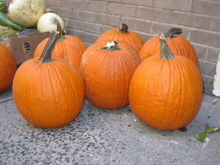 Preparados para halloween