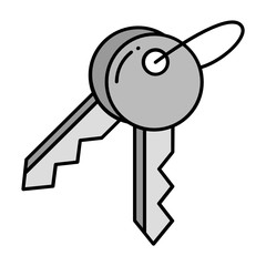 Pair of Steel Keys Concept vector color Icon design,  Multipurpose  Lock Keys on white background. Home Security Symbol 