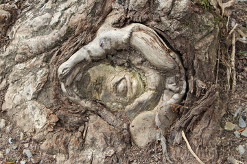 El ojo que todo lo ve