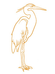 Line art of spring bird. Gold line art decor on the white isolated background.