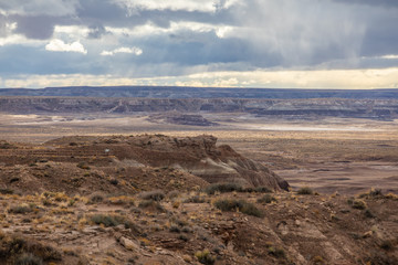 Petrified Forest in National Park in Arizona