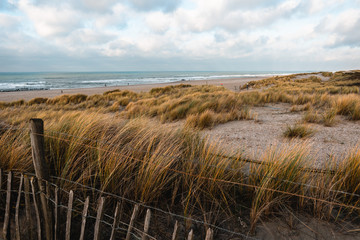 Relaxing vacation tourism holidays with Dunes in Holland, Netherlands at a beach 