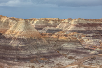 Petrified Forest in National Park in Arizona