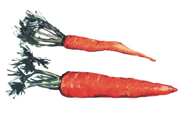 Dwa soczyste pomarańczowe marchewki z zielonymi naciami, świeże warzywa png isolated on transparent background © Kubista