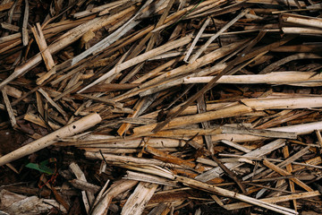 texture pattern yellow dry old grass by the river broken and rumpled last year's