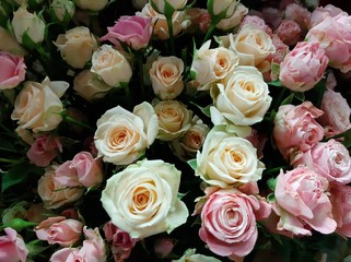 
fresh flowers, author's bouquets