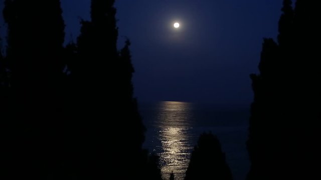 Beautiful full moon on a cloudless sky above the sea with a inspiring moon glade. Framed by trees. Mystical landscape with moon glow and moon light in the darkness. Night enigmatic lunar scene. 