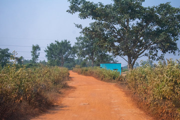 Fototapeta na wymiar a beautiful yellow stone road in a village in west bengal