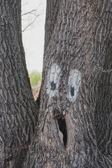 Old tree with a hollow and painted eyes.