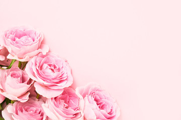Fototapeta premium Bouquet of pink roses on pink background. Mother's day, Valentines Day, Birthday celebration concept. Greeting card. Copy space, top view