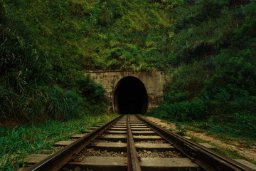 Railway leads into a dark tunnel amid greenery