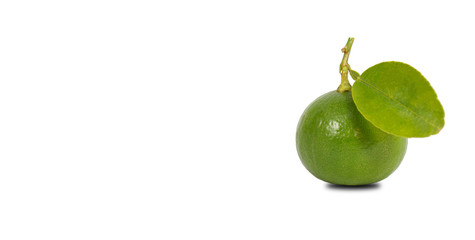 One lemon can be isolated on a white background with space to put text