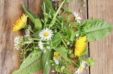 Salat Wildkräutersalat Wildkräuter Wilder Salat sammeln Kräuter essbare Blüten Top View © eflstudioart