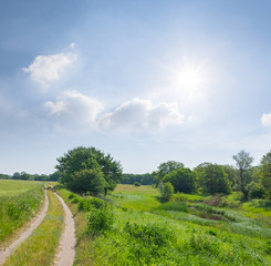 Fototapeta na wymiar ground road among a green fields under a sparkle sun, summer countryside scene