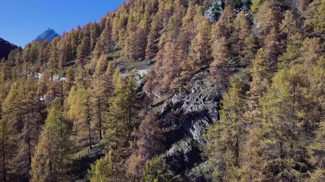 Engadin