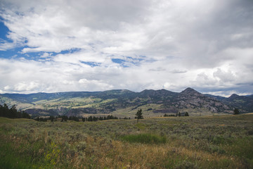 Mountain summer landscape in national park of United States of America, cloudy sky, yellow grass and green hills with trees as tourism panorama view in Yellowstone National Park for travel blog