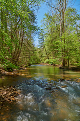 Fototapeta na wymiar Small Rapids on War Creek in Eastern Kentucky.