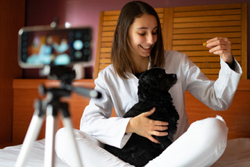Veterinary surgeon filming a video with a dog. Dog obesity Concept.